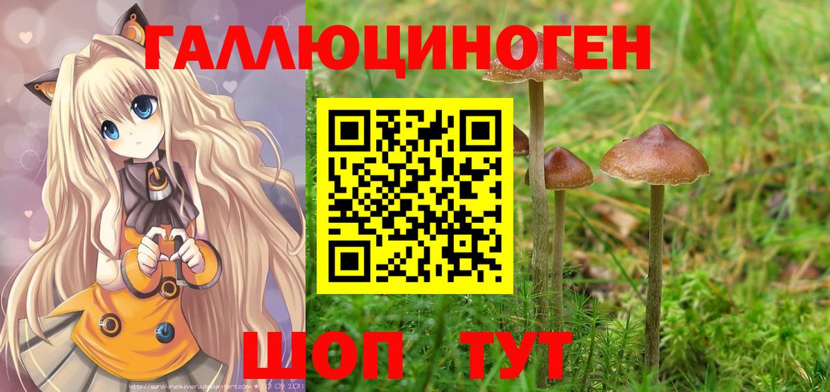 Псилоцибиновые грибы прущие грибы Туймазы
