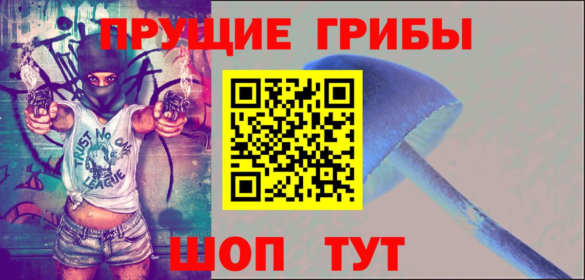 Туймазы  Галлюциногенные грибы Cubensis  Вход с VPN 